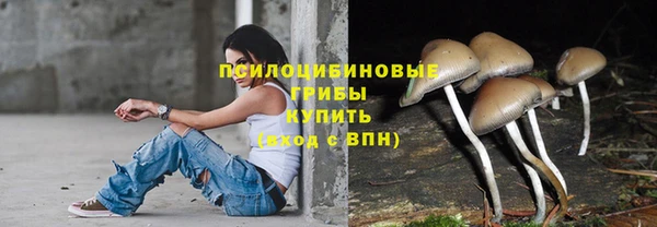 гашик Баксан