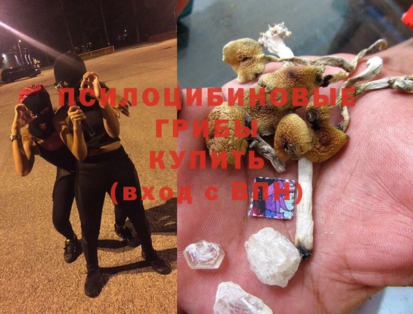 гашик Баксан