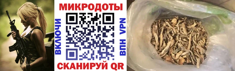 Псилоцибиновые грибы GOLDEN TEACHER  купить   Кувандык 